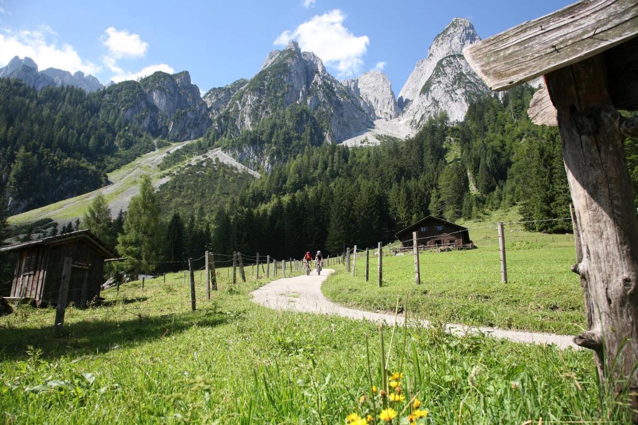 Appartement Predigstuhlblick Mit Indoorpool Und Sauna Bad Goisern Esterno foto